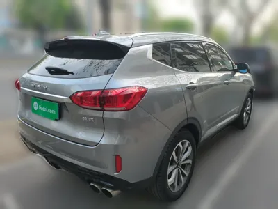 WEY VV6