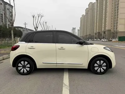 Wuling Bingo