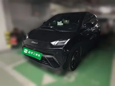 BYD Seagull