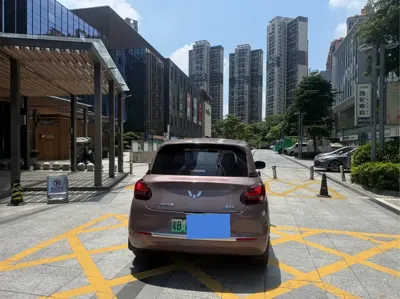 Wuling Bingo
