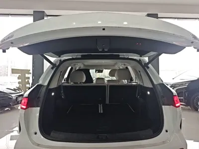 BYD 唐L