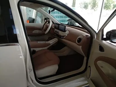 Wuling Bingo