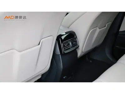 BYD Tang New Energy