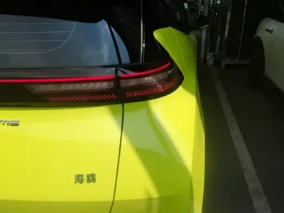 BYD Seagull