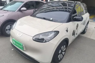 Wuling Bingo