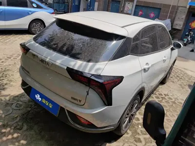 NETA Neta V