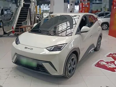 BYD Seagull
