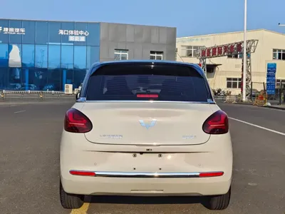 Wuling Bingo
