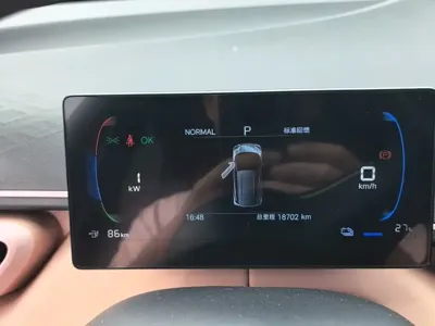 BYD Seagull