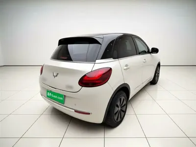Wuling Bingo