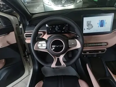 BYD Seagull