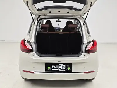 Wuling Bingo
