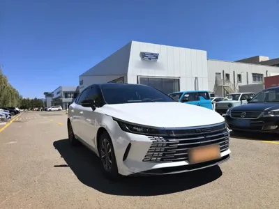 BYD Destroyer 05
