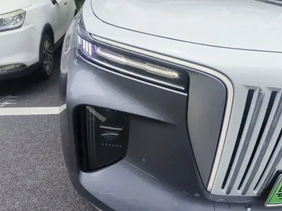 Hongqi Hongqi E-HS9