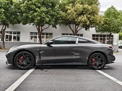 NETA Neta GT