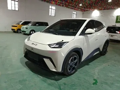 BYD Seagull