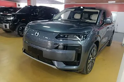 Denza N9