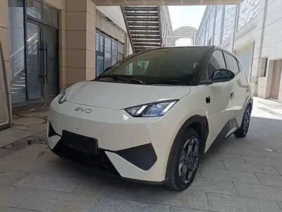 BYD Seagull