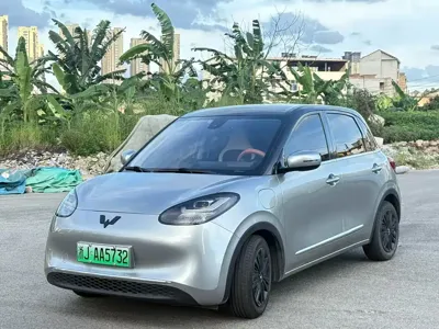Wuling Bingo
