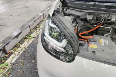 Wuling Bingo
