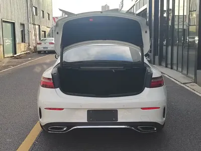 Mercedes-Benz E-Class (Import)