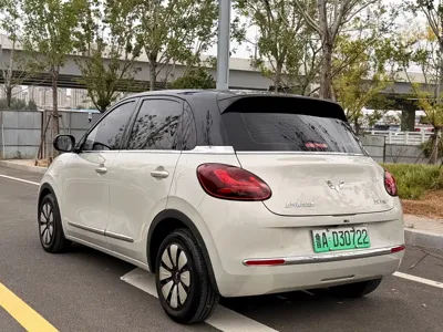 Wuling Bingo