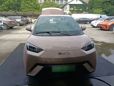 BYD Seagull
