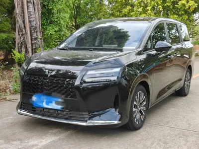 Wuling 星光730