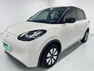 Wuling Bingo