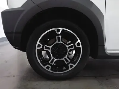 Galaxy Panda