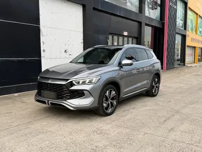 BYD Pro New Energy