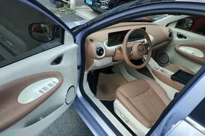 Wuling Bingo
