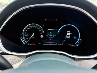 Genesis Electric G80