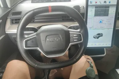 NETA V