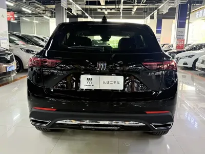 Buick Envision S