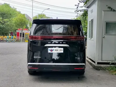 Denza Denza D9