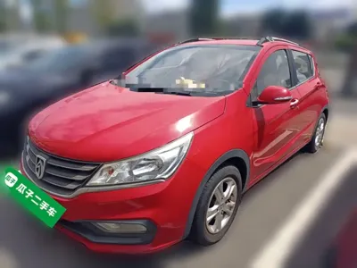 Baojun 310