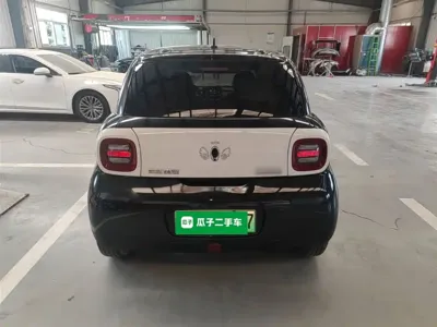 ORA Ora Black Cat