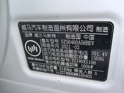 WM Motor EX5