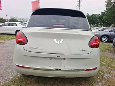 Wuling Bingo