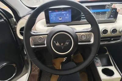 Wuling Bingo