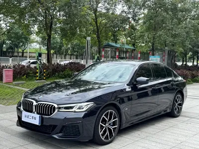 BMW 5 Series (Import)