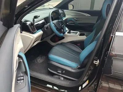 BYD Pro