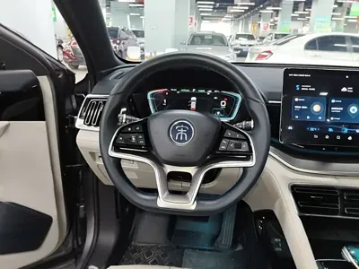 BYD PLUS New Energy