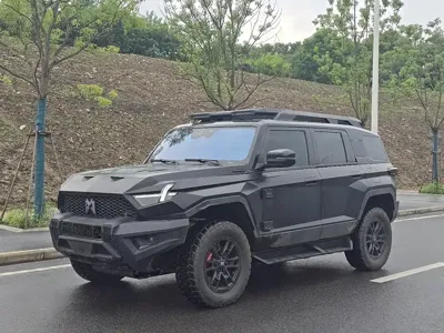 Mengshi Mengshi 917