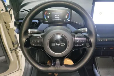 BYD Seagull