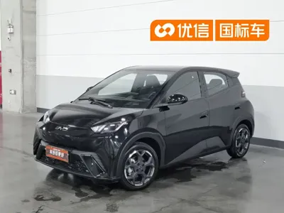 BYD Seagull
