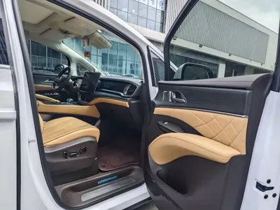 Denza Denza D9