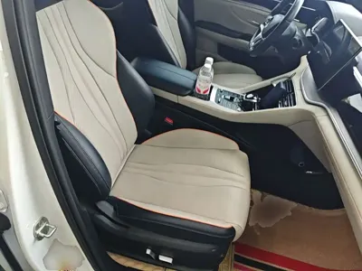 BYD PLUS New Energy