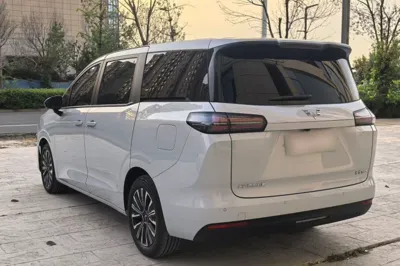 Wuling Wuling Starlight 730